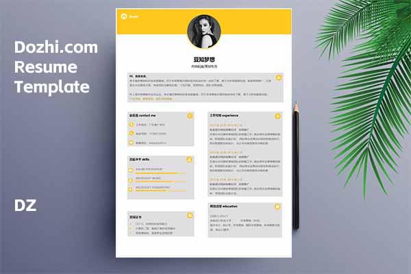 通用类型简历模板